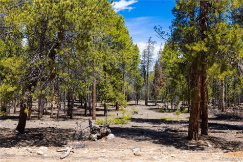 758 Spruce Drive Twin Lakes CO 80461