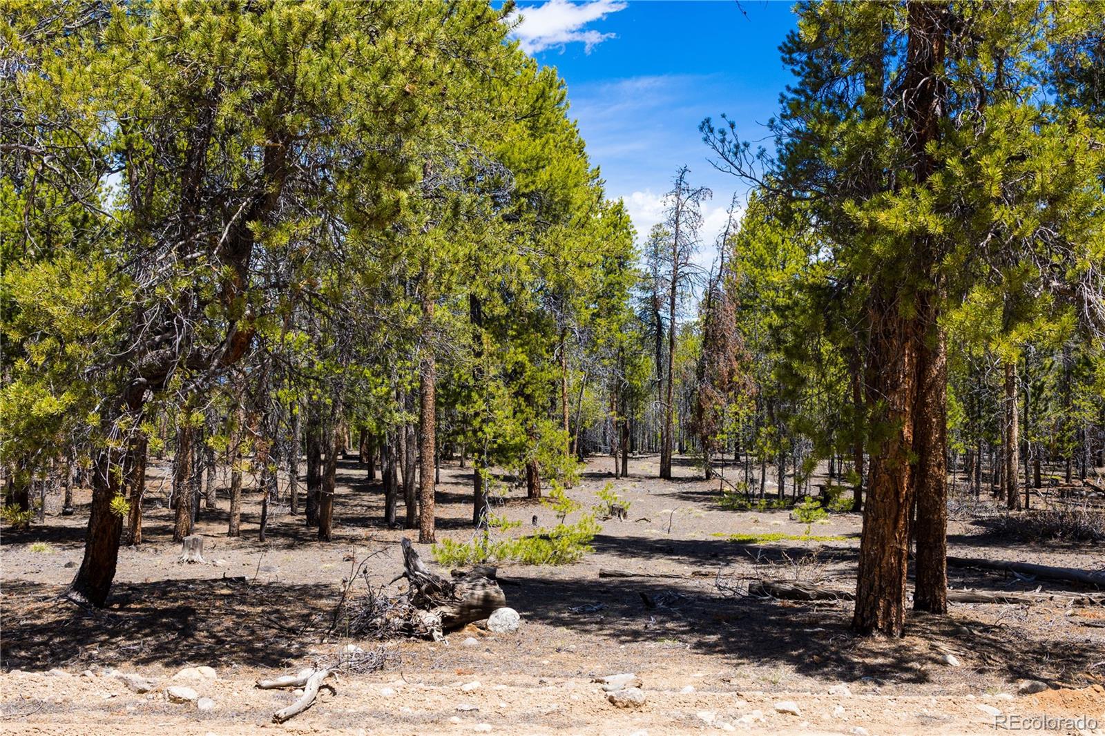 758 Spruce Drive Twin Lakes CO 80461