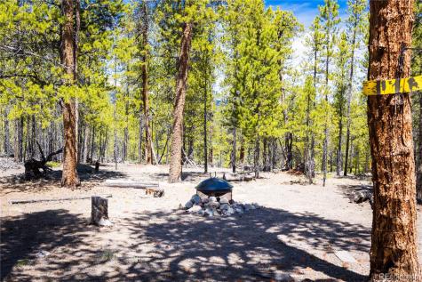 758 Spruce Drive Twin Lakes CO 80461