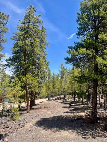 758 Spruce Drive Twin Lakes CO 80461