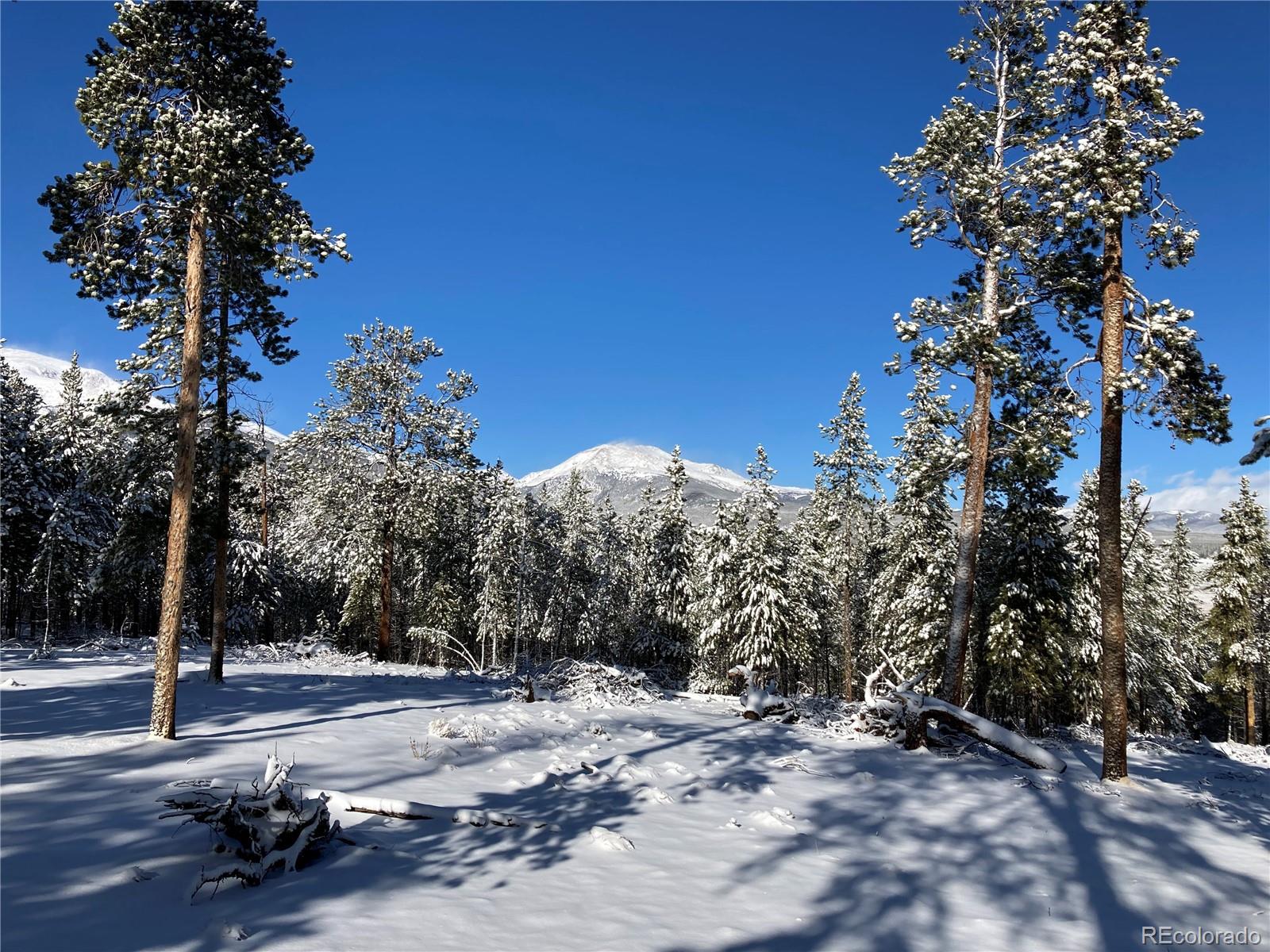 758 Spruce Drive Twin Lakes CO 80461