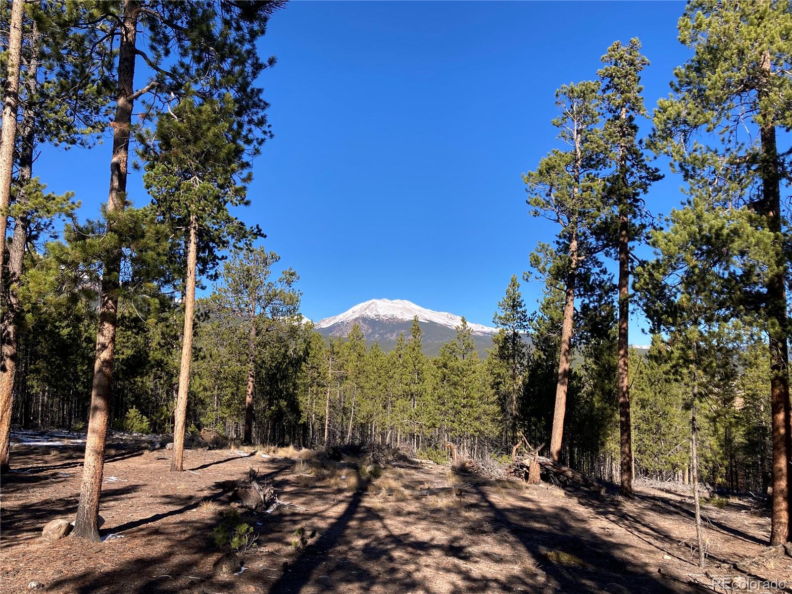 758 Spruce Drive Twin Lakes CO 80461