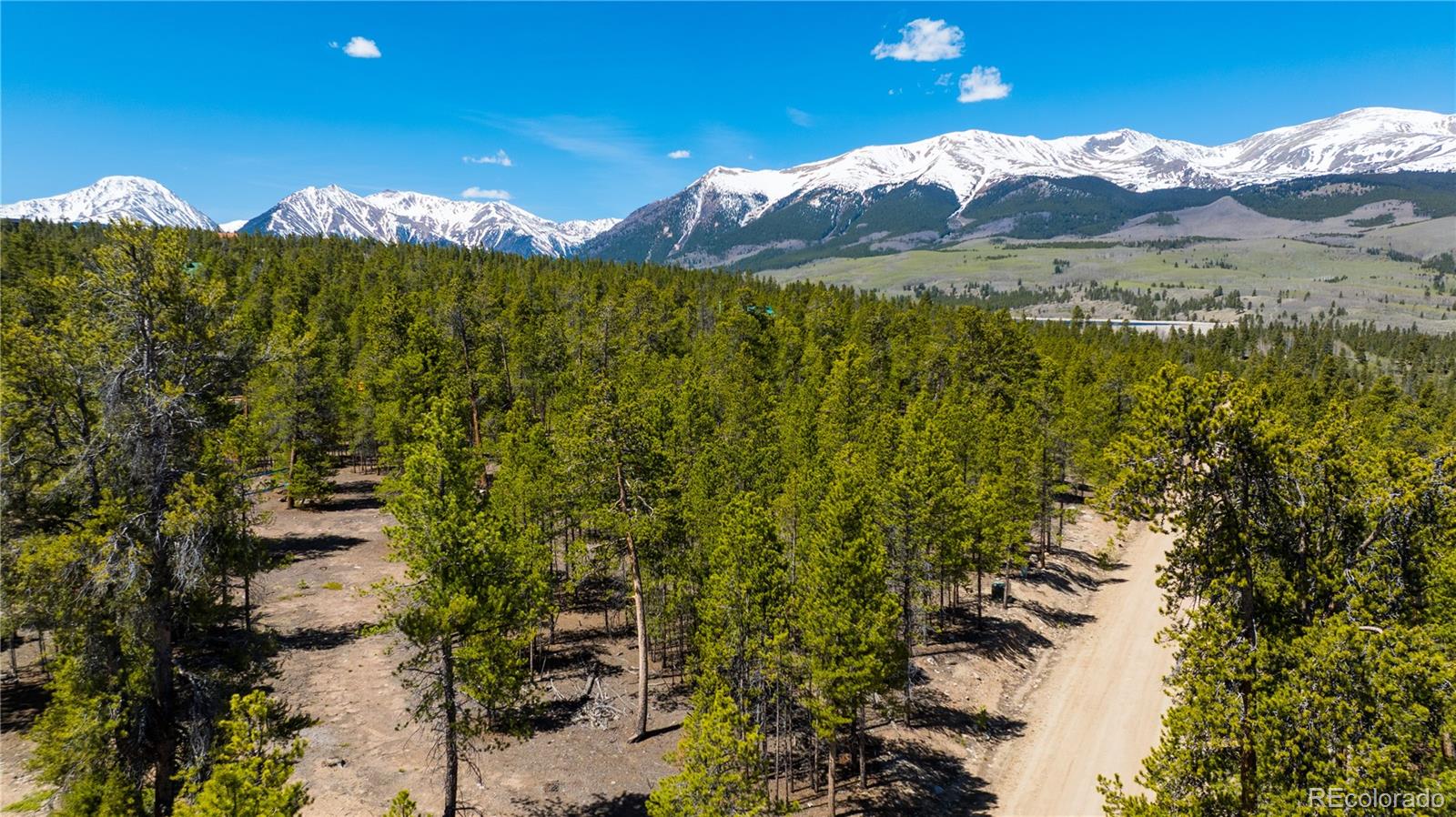 758 Spruce Drive Twin Lakes CO 80461