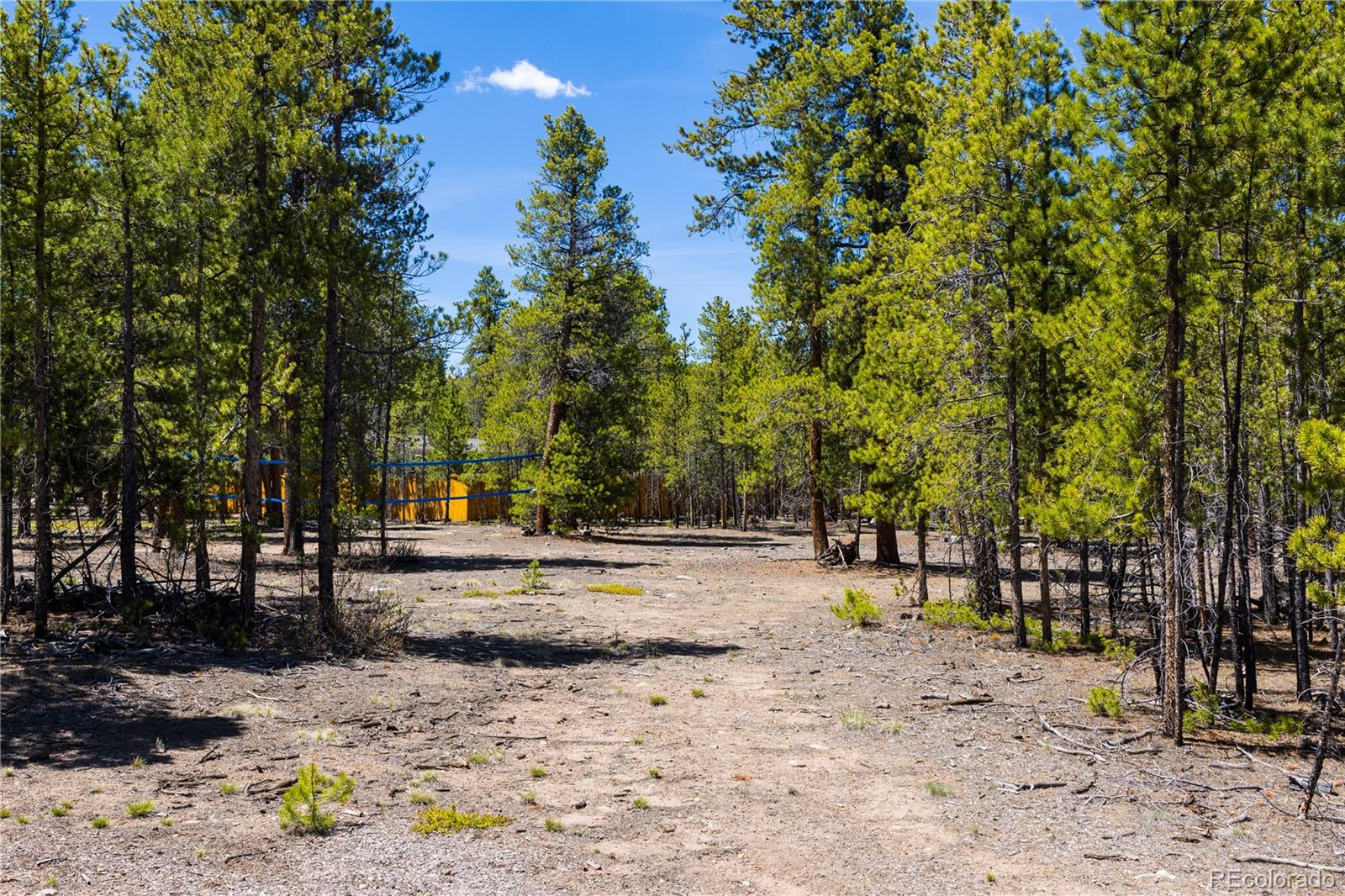 758 Spruce Drive Twin Lakes CO 80461
