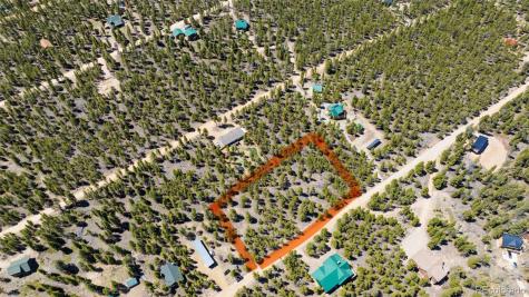 758 Spruce Drive Twin Lakes CO 80461