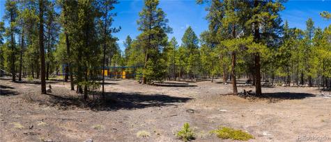 758 Spruce Drive Twin Lakes CO 80461