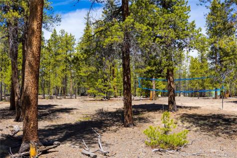 758 Spruce Drive Twin Lakes CO 80461
