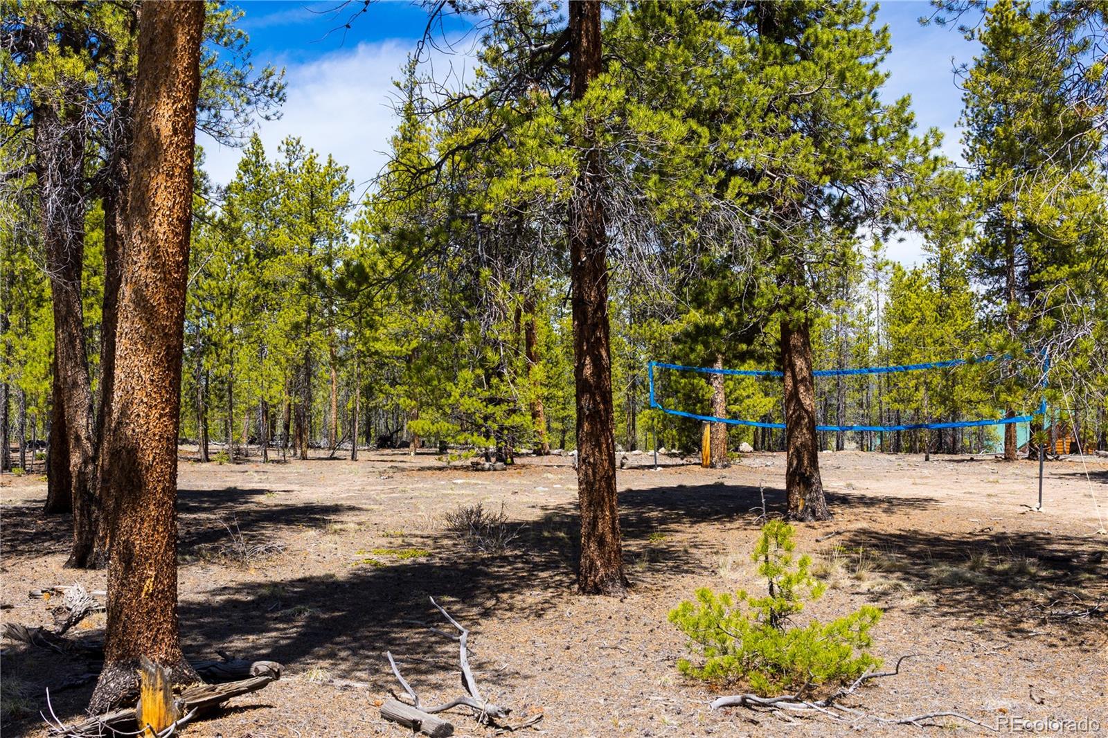 758 Spruce Drive Twin Lakes CO 80461