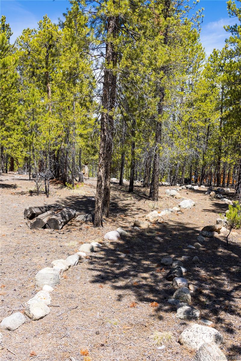 758 Spruce Drive Twin Lakes CO 80461