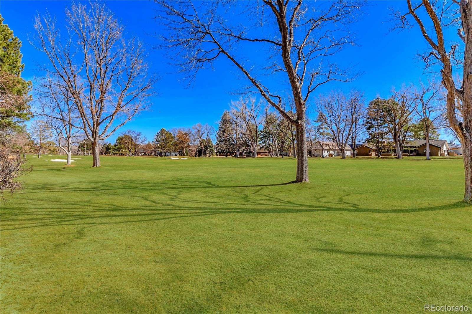 22 Wedge Way Littleton CO 80123