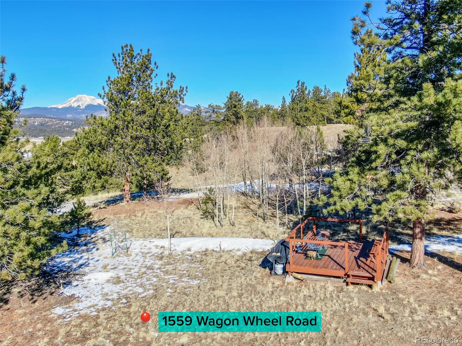 1559 Wagon Wheel Road Hartsel CO 80449