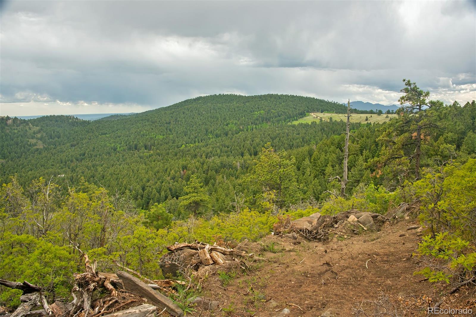 13864 N Trail Circle Littleton CO 80127