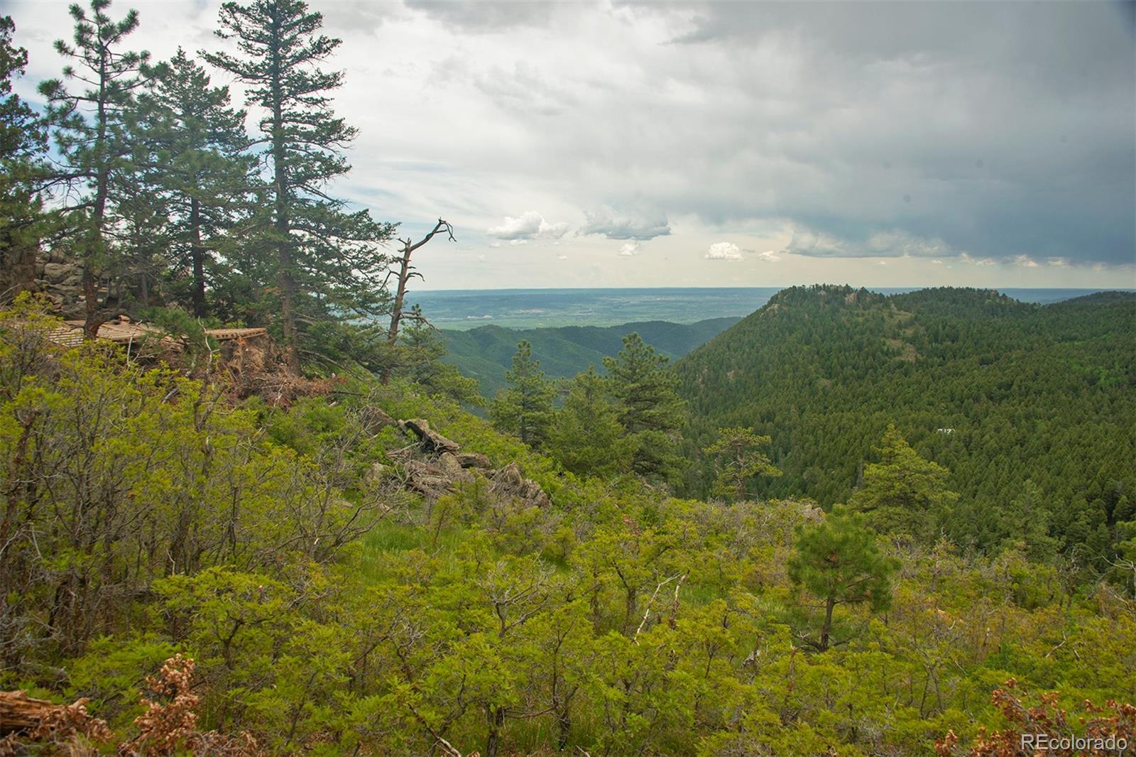 13864 N Trail Circle Littleton CO 80127