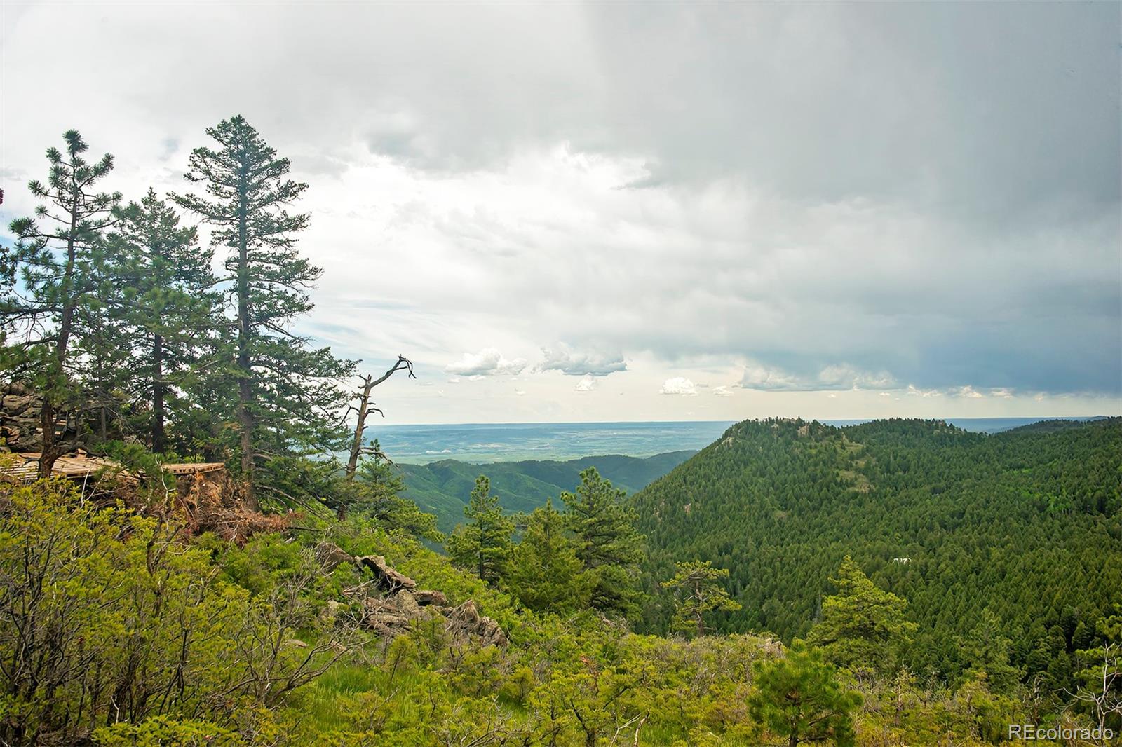 13864 N Trail Circle Littleton CO 80127