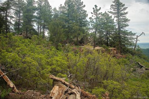 13864 N Trail Circle Littleton CO 80127