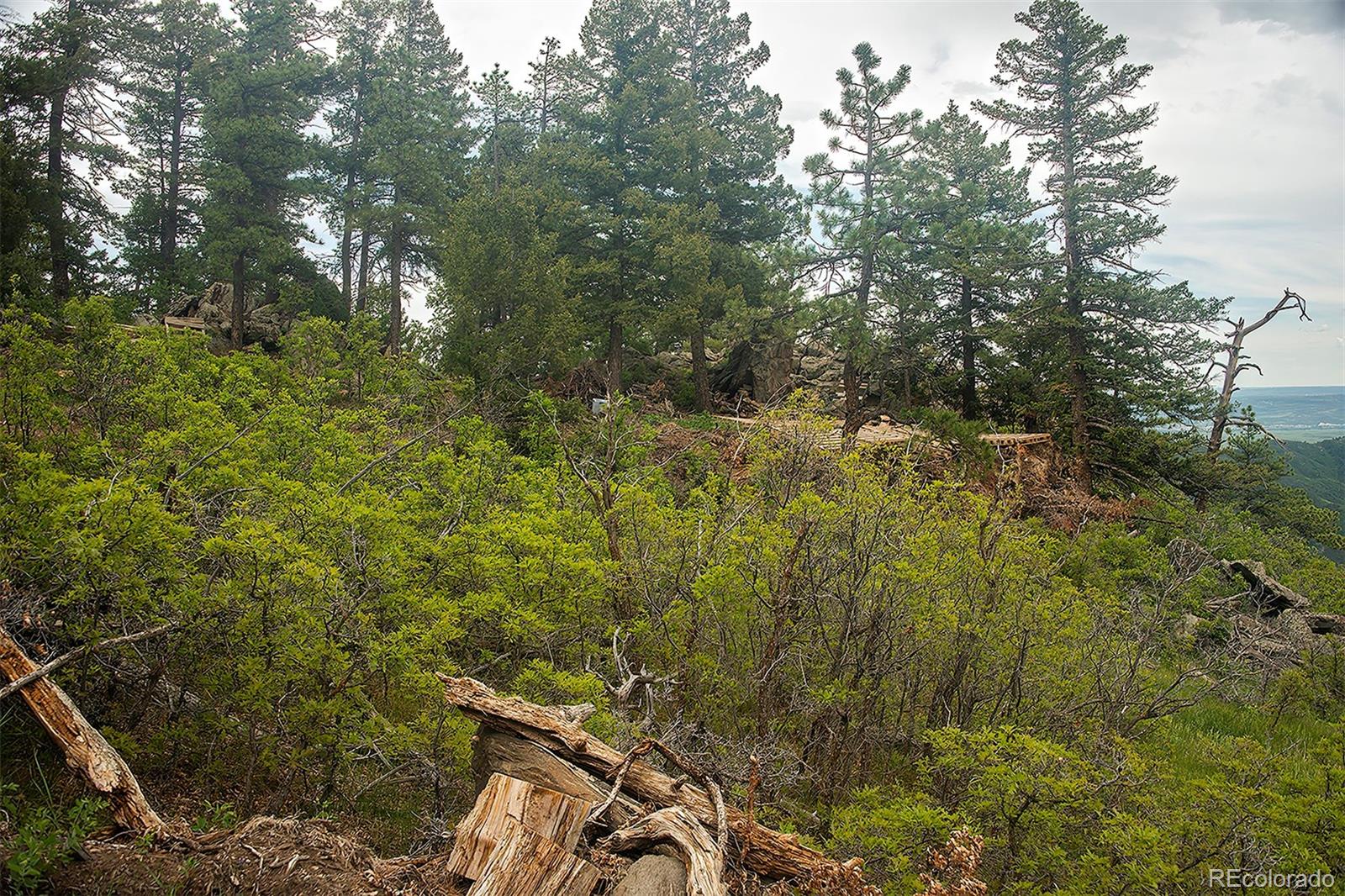 13864 N Trail Circle Littleton CO 80127