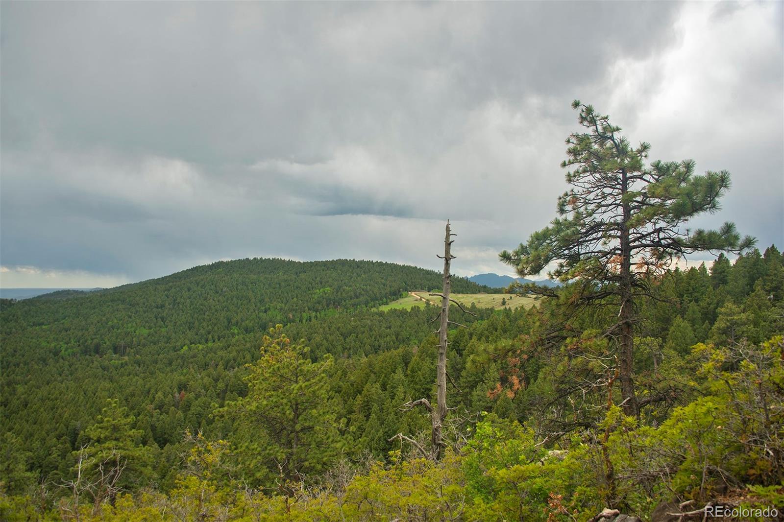 13864 N Trail Circle Littleton CO 80127
