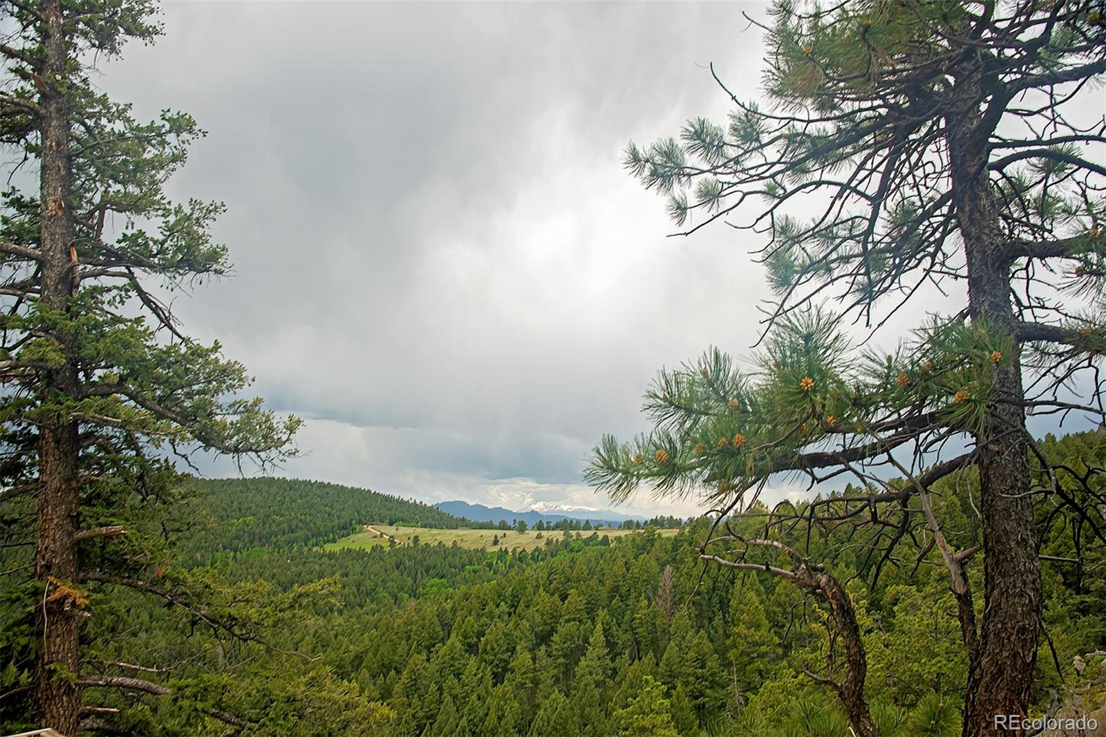 13864 N Trail Circle Littleton CO 80127