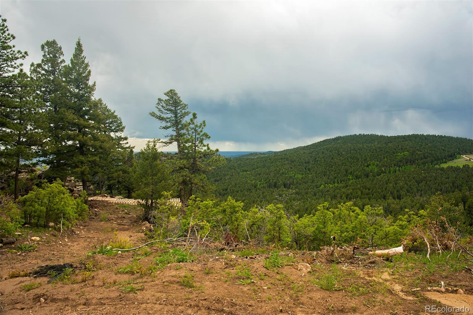 13864 N Trail Circle Littleton CO 80127