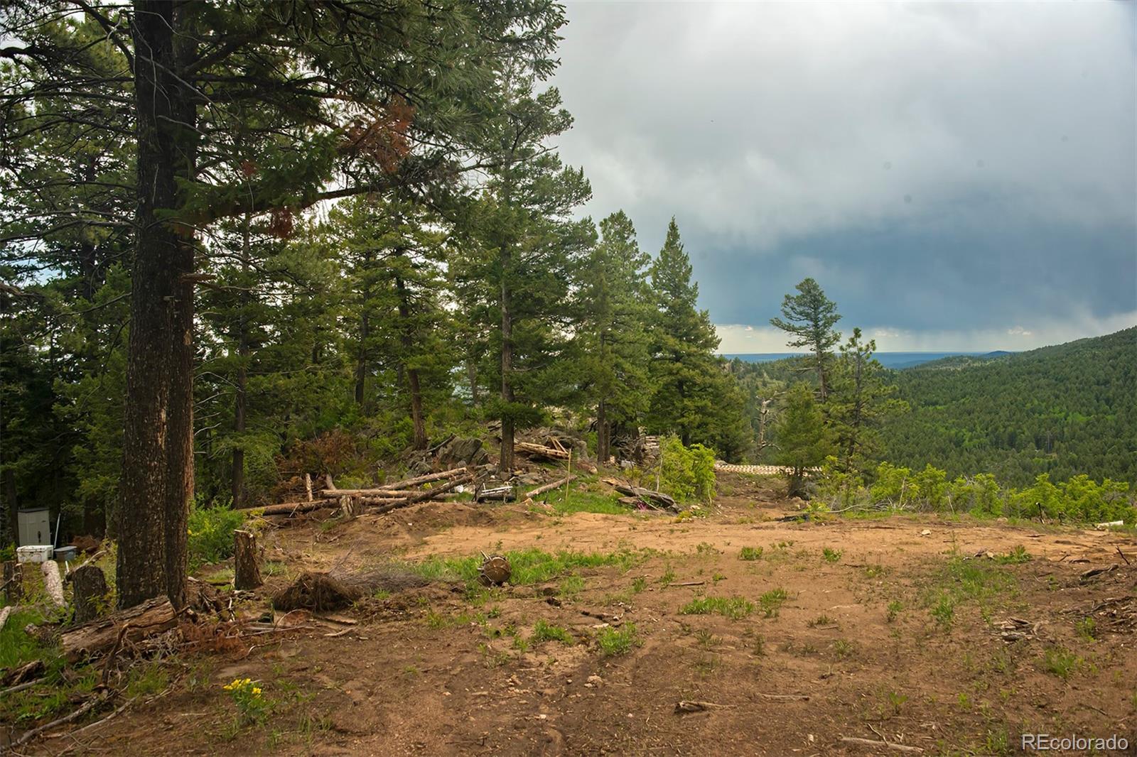 13864 N Trail Circle Littleton CO 80127