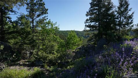 13864 N Trail Circle Littleton CO 80127