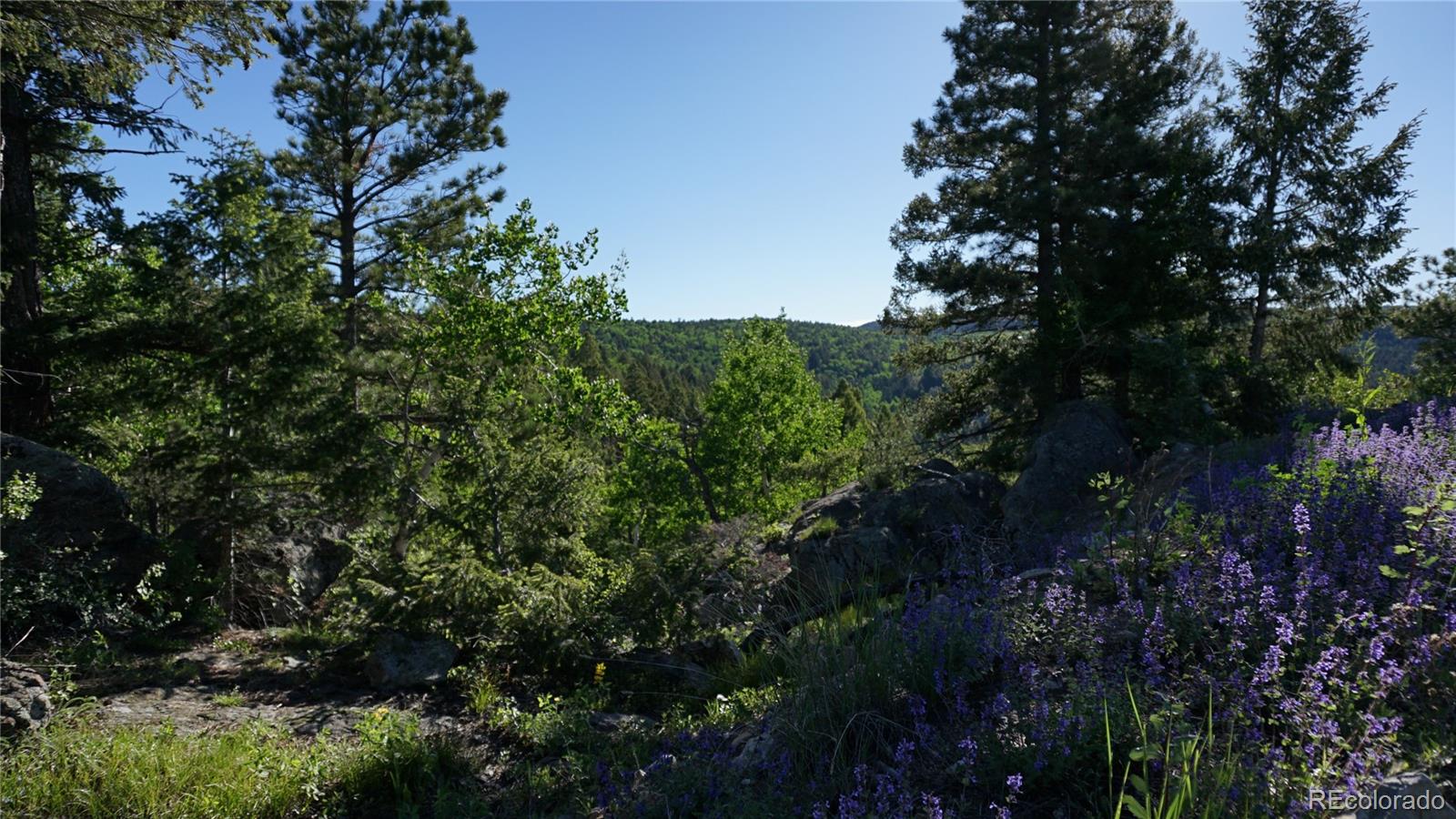 13864 N Trail Circle Littleton CO 80127