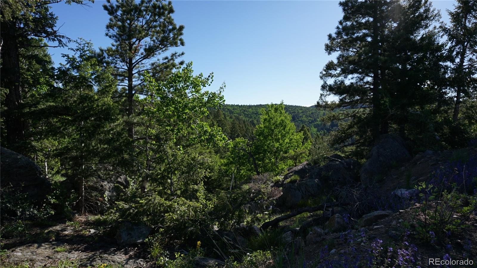 13864 N Trail Circle Littleton CO 80127