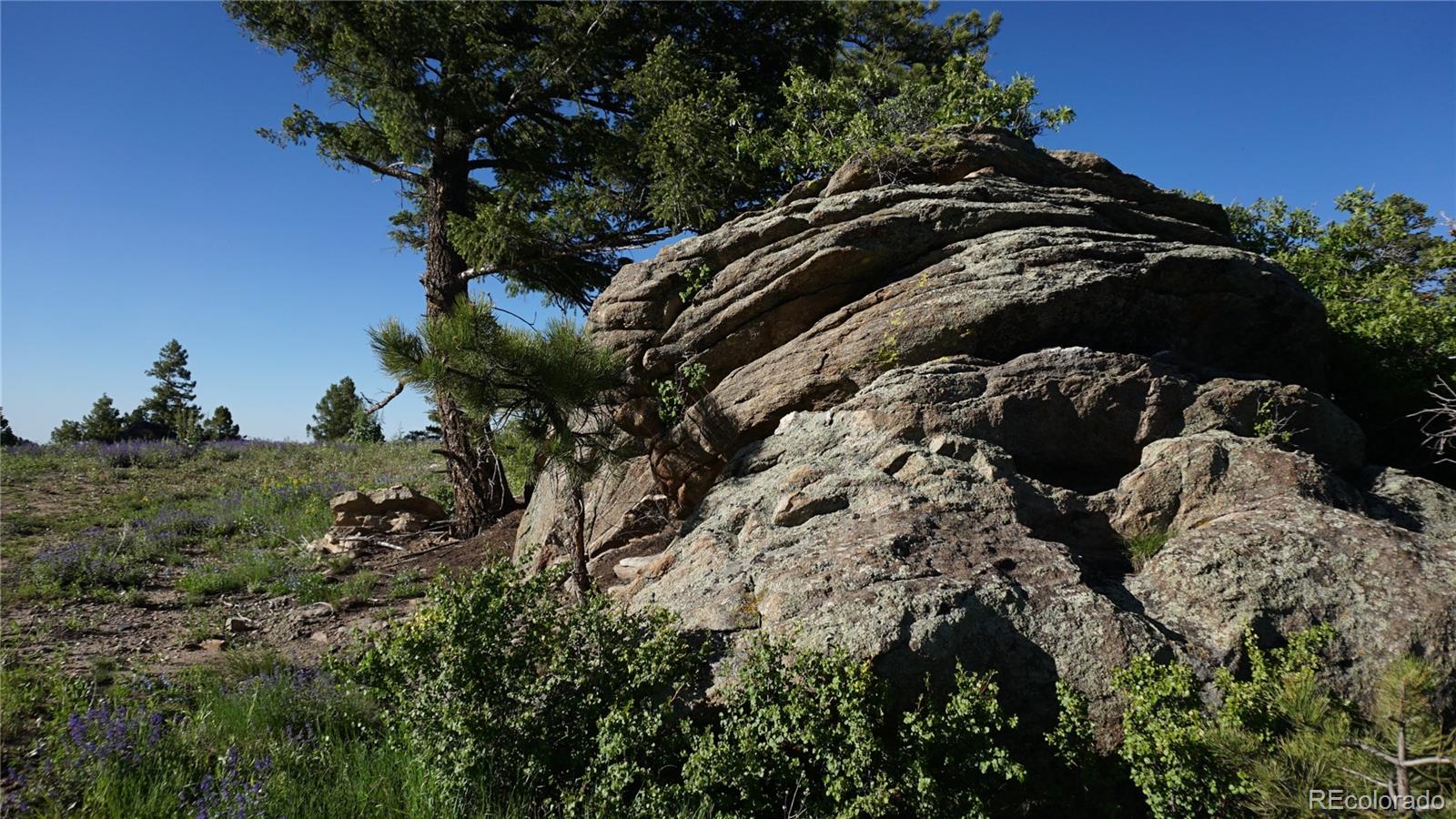 13864 N Trail Circle Littleton CO 80127