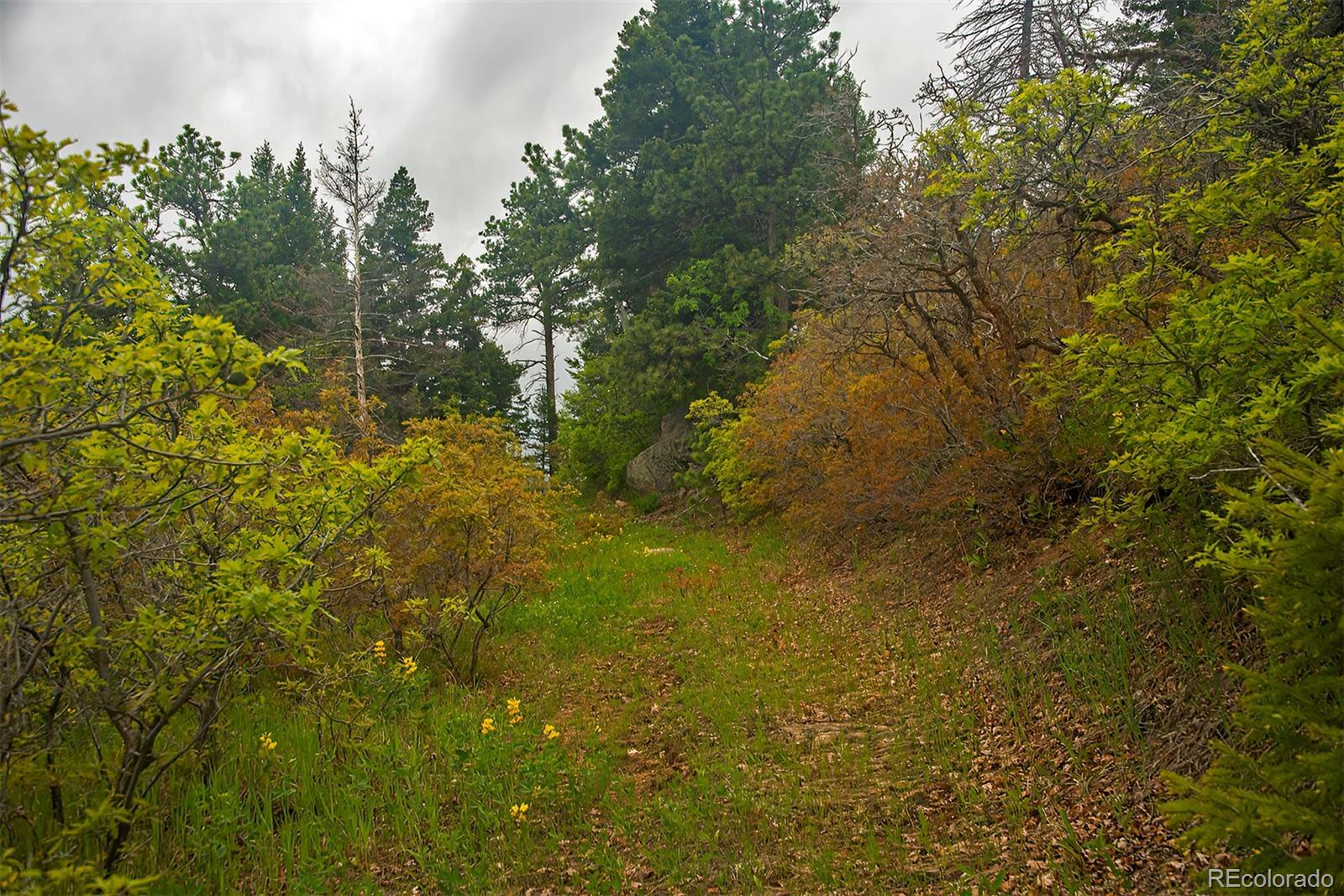 13864 N Trail Circle Littleton CO 80127