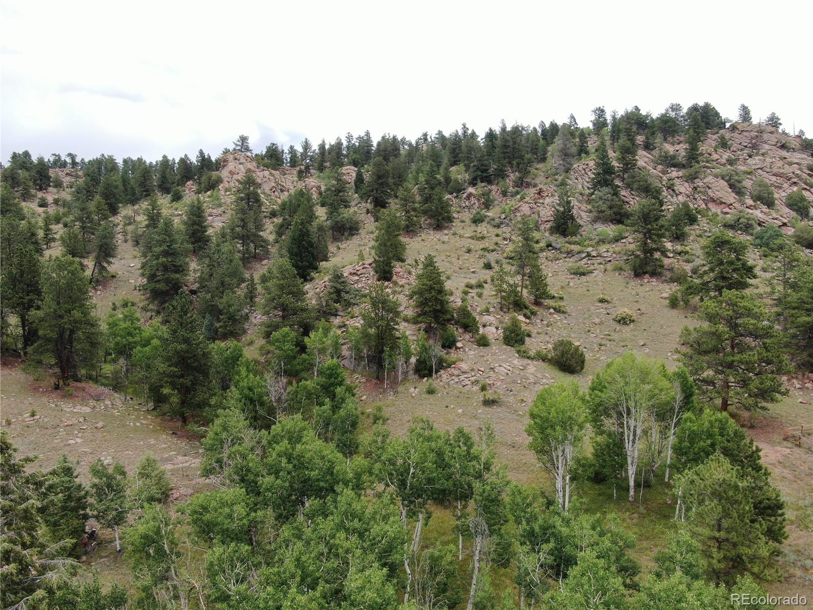 76 Crocus Circle Florissant CO 80816