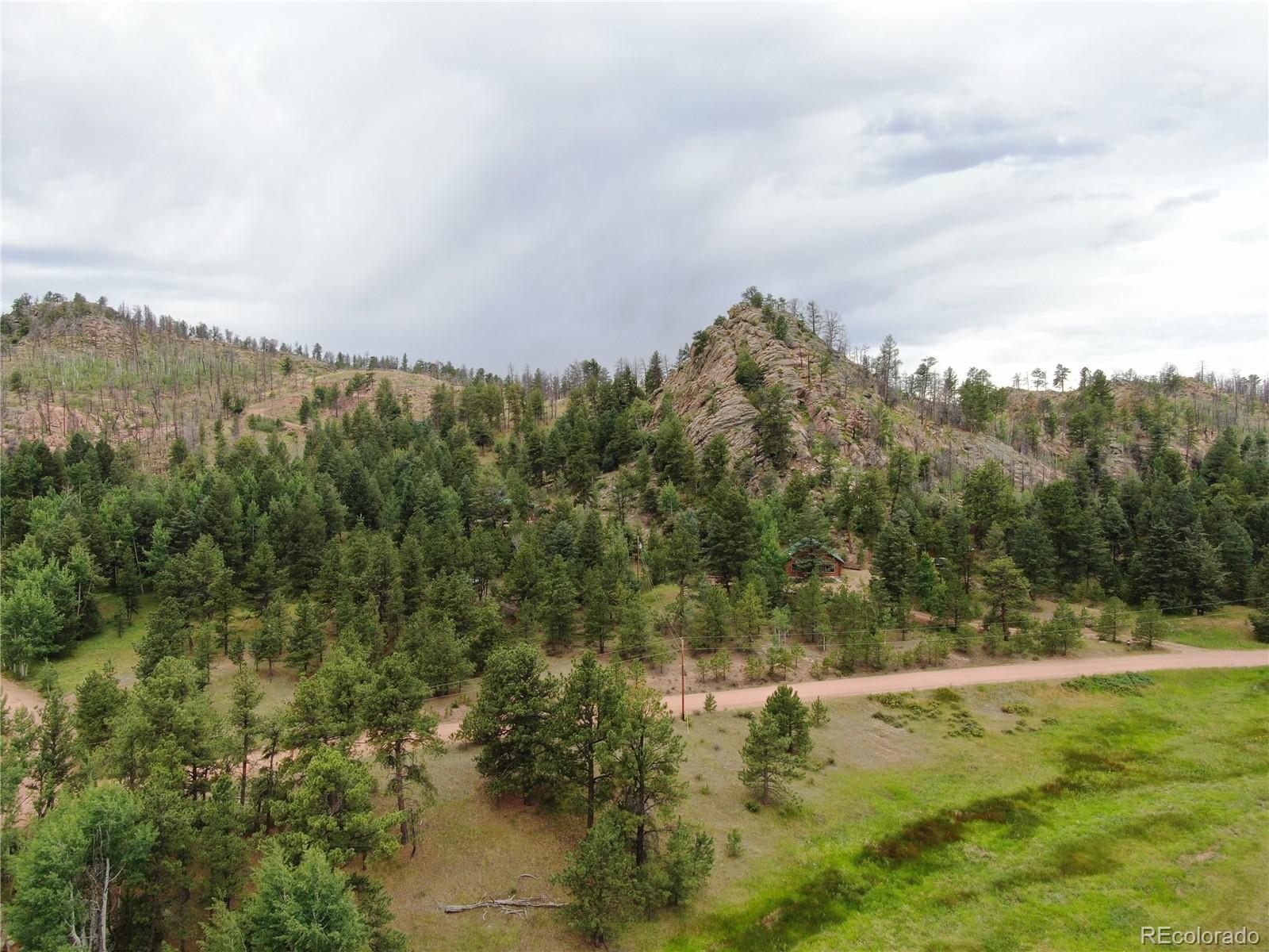 76 Crocus Circle Florissant CO 80816