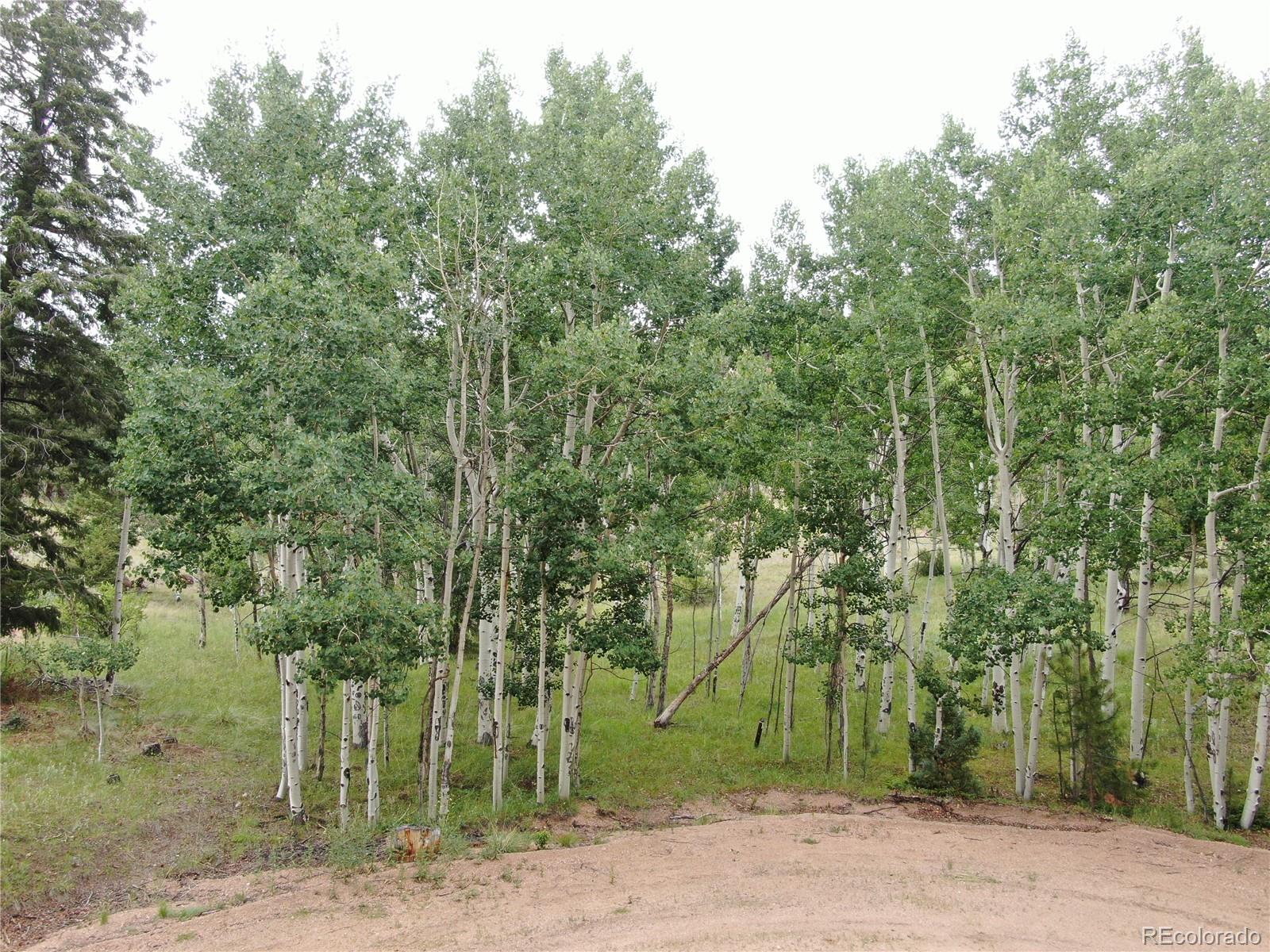 76 Crocus Circle Florissant CO 80816