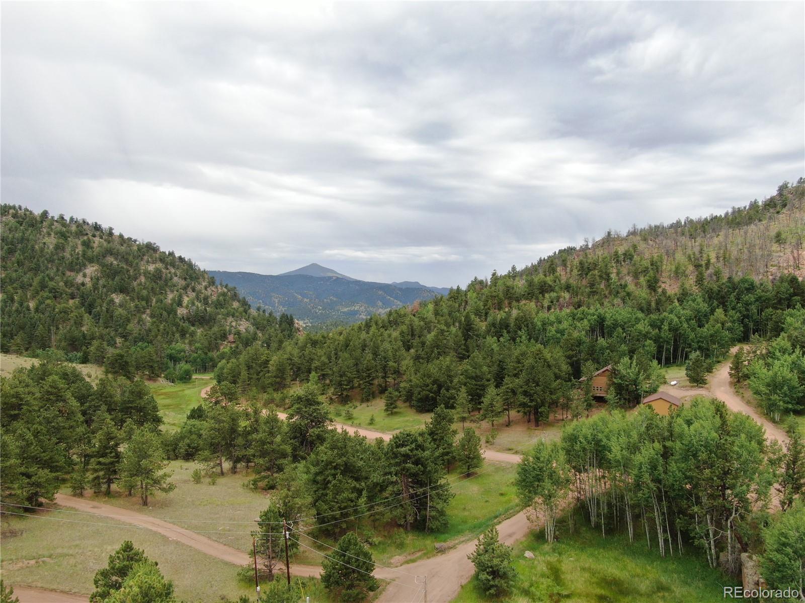 76 Crocus Circle Florissant CO 80816