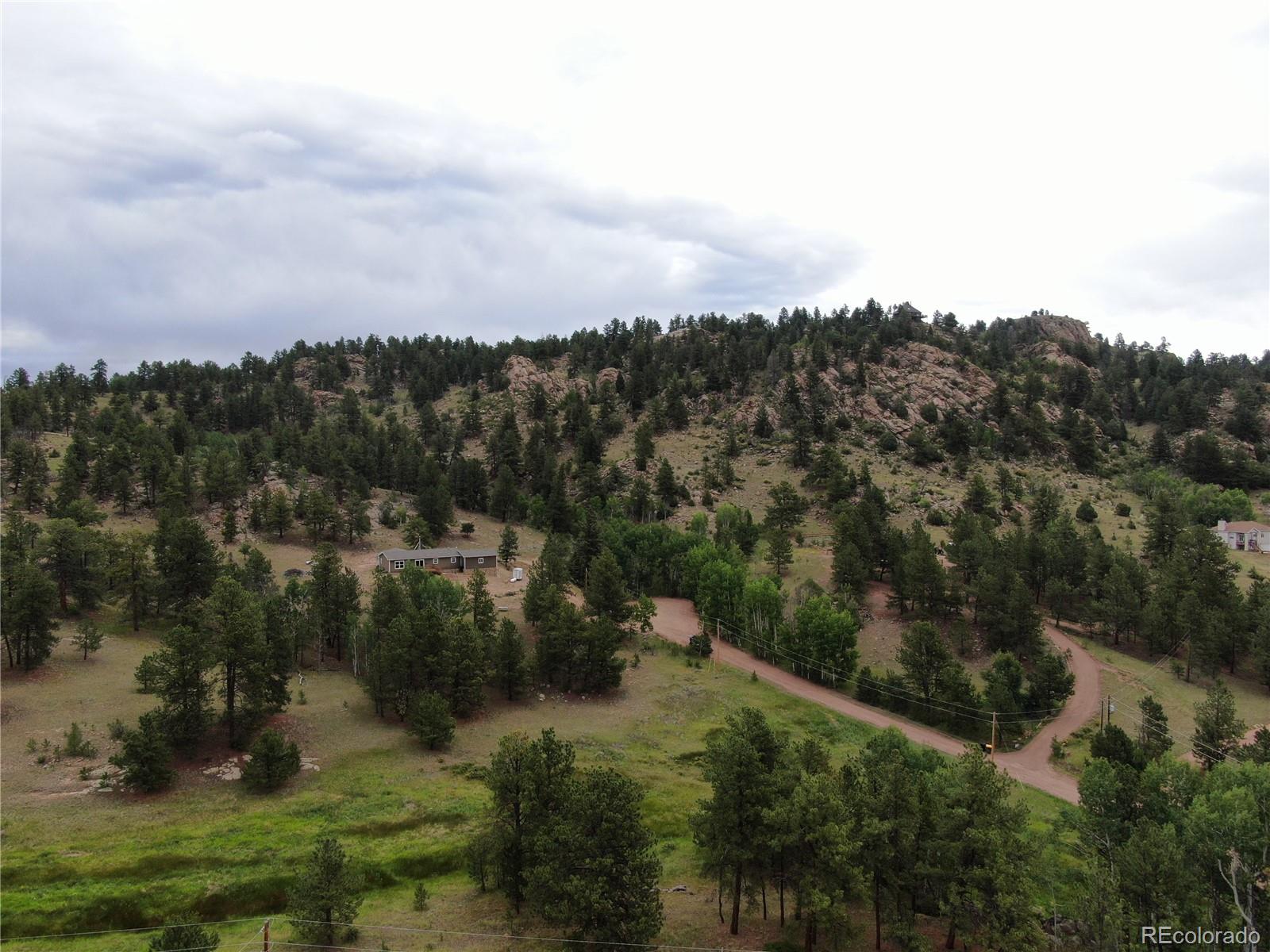 76 Crocus Circle Florissant CO 80816
