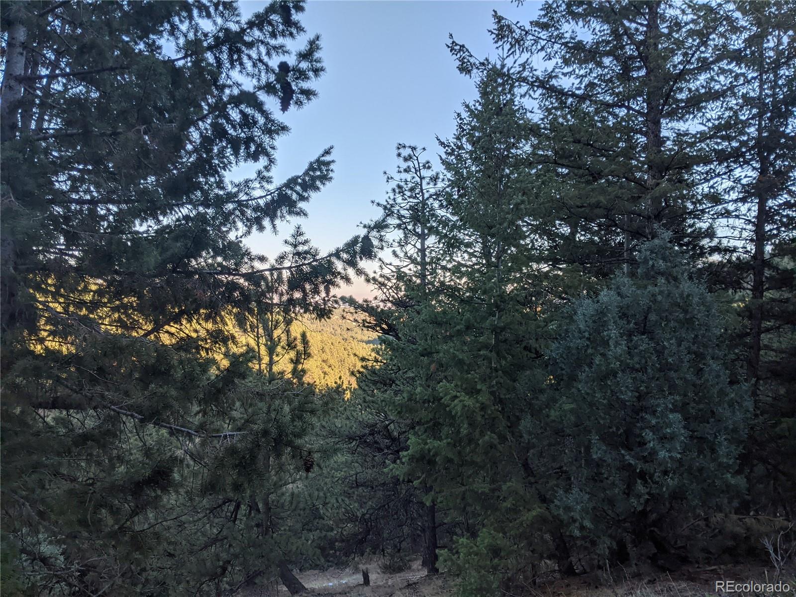 105 Millionaire Drive E Boulder CO 80302
