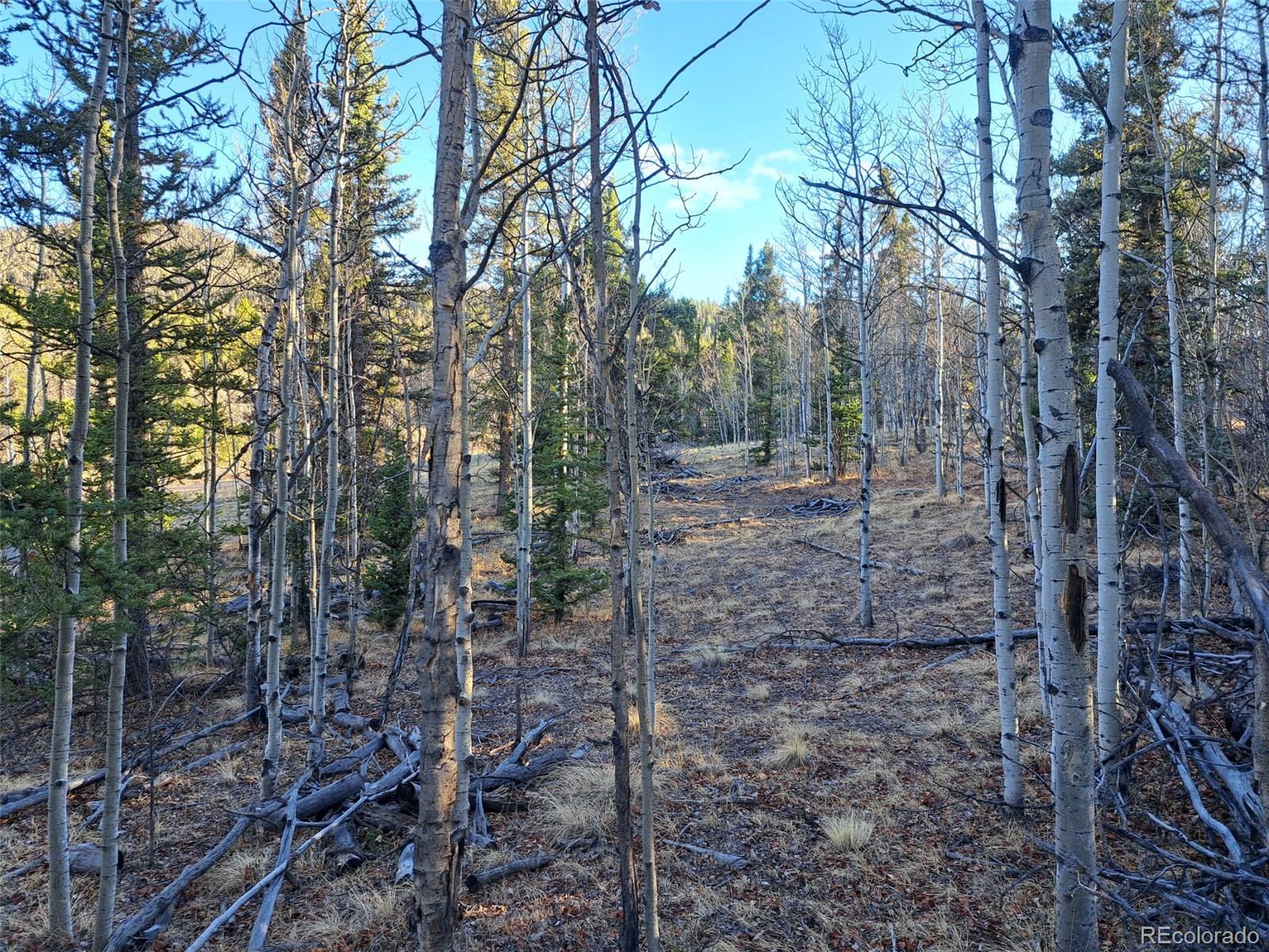 1645 Chippewa Road Como CO 80432
