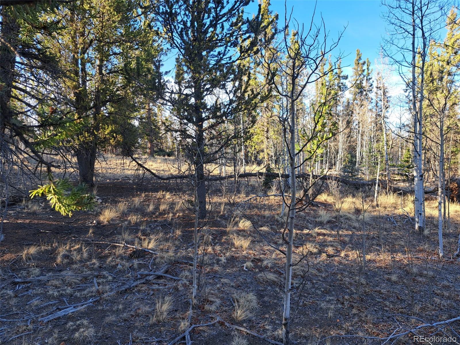 1645 Chippewa Road Como CO 80432