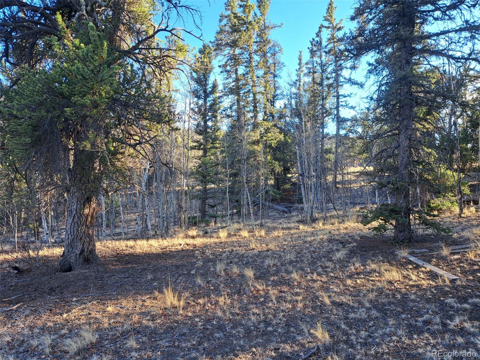 1645 Chippewa Road Como CO 80432