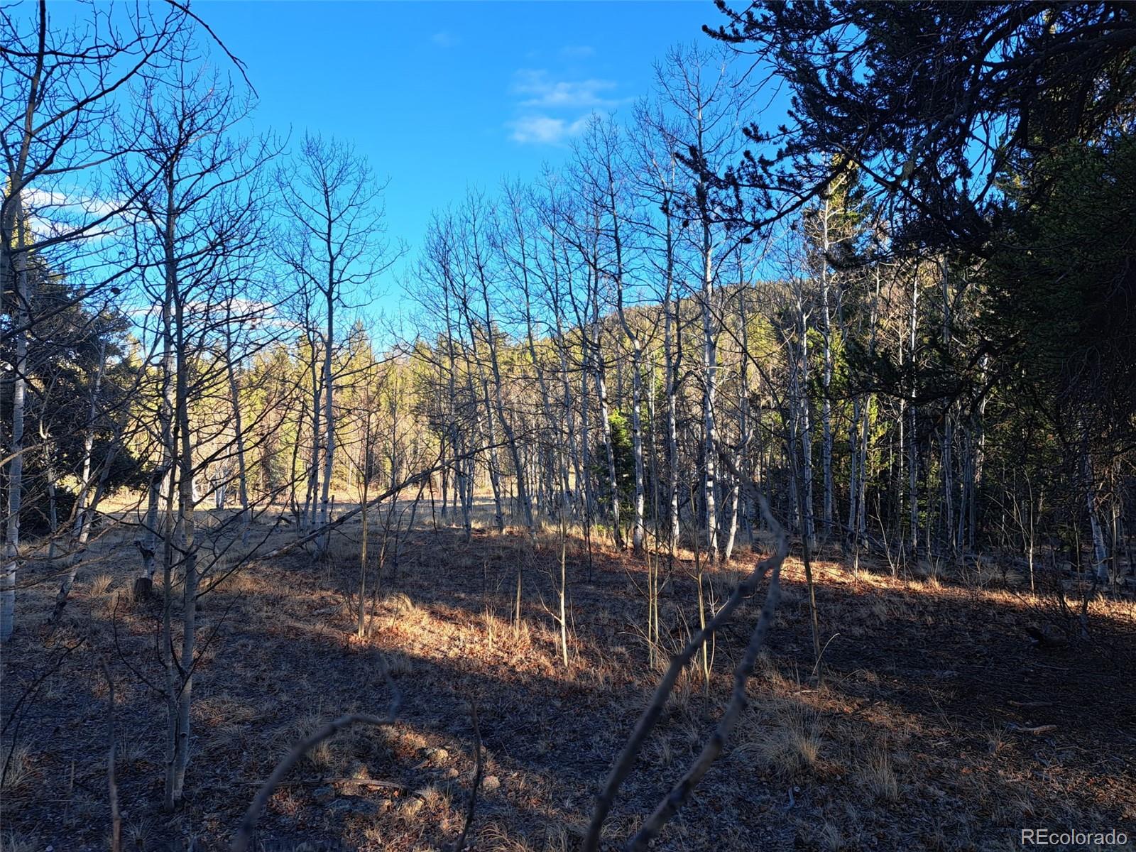 1645 Chippewa Road Como CO 80432