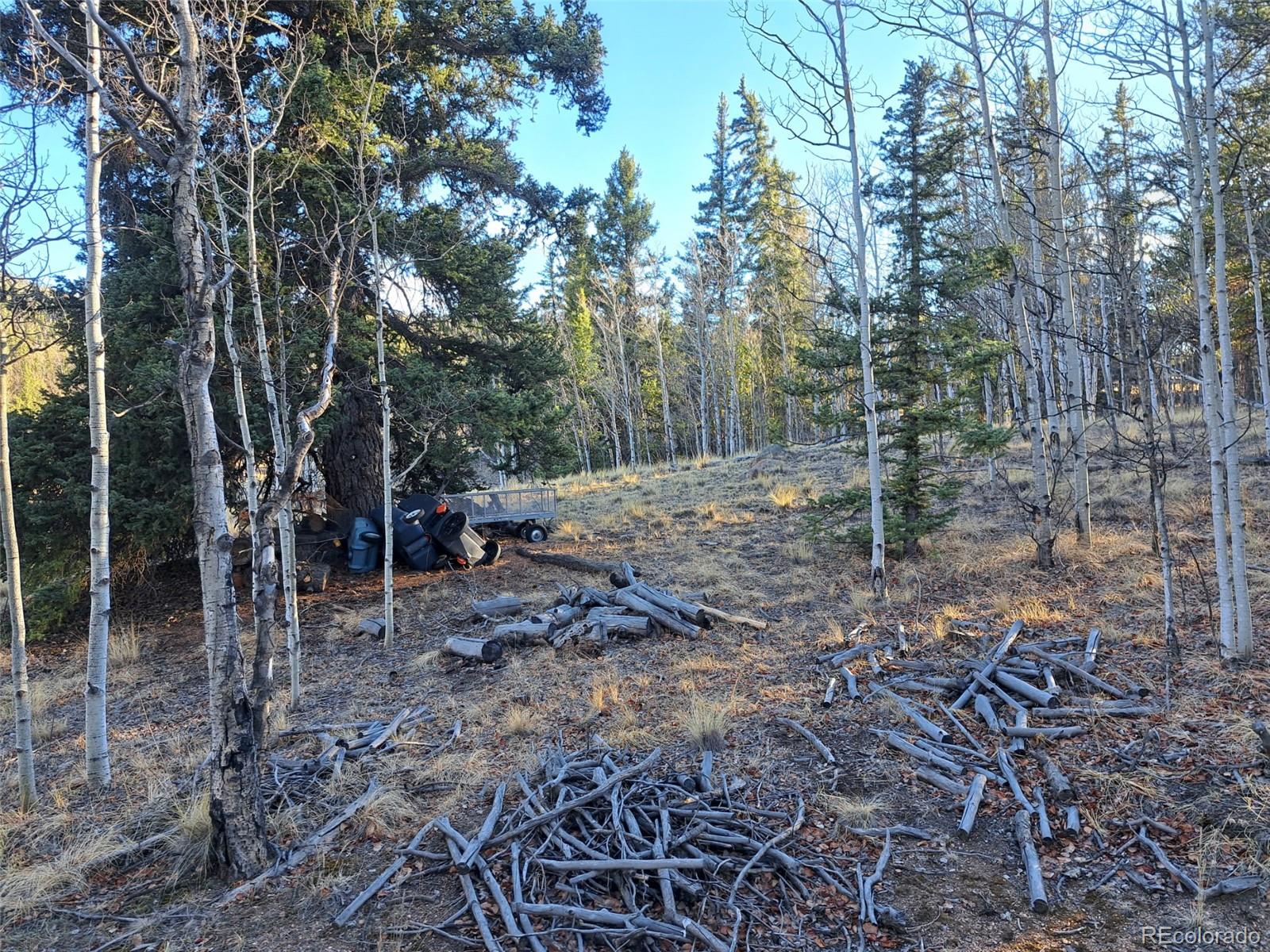 1645 Chippewa Road Como CO 80432