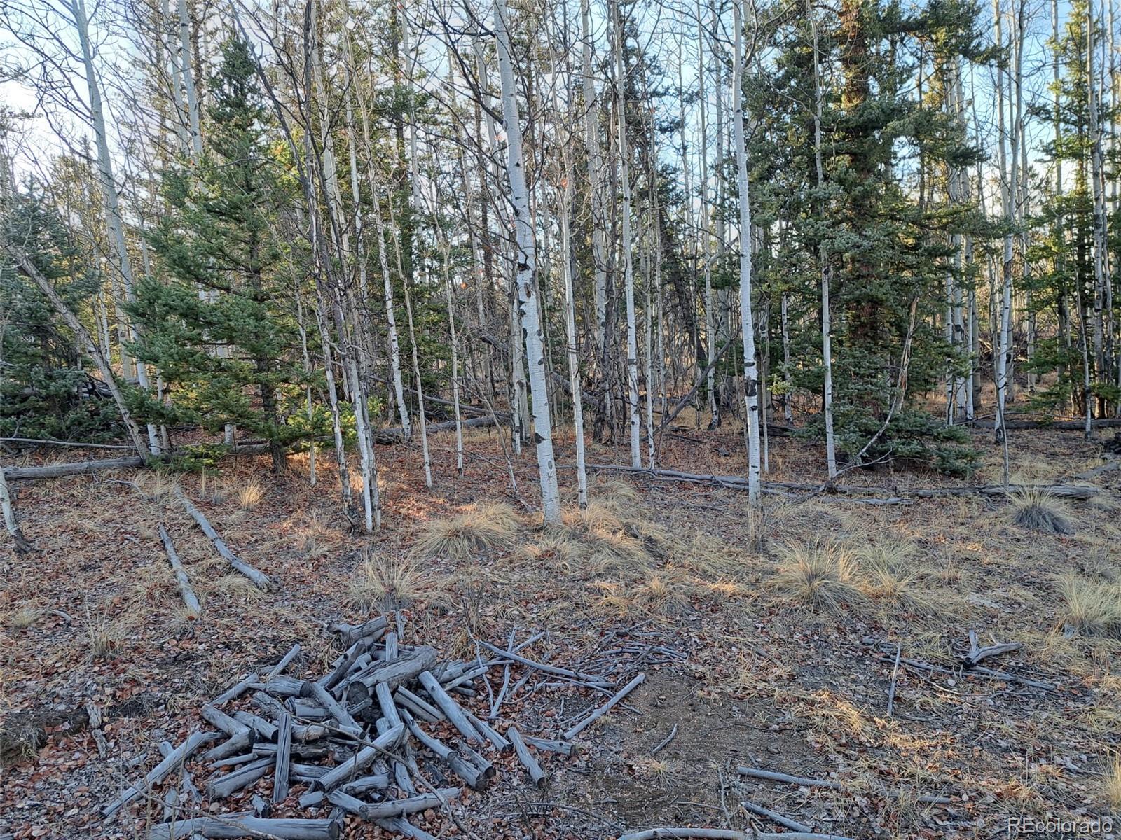 1645 Chippewa Road Como CO 80432