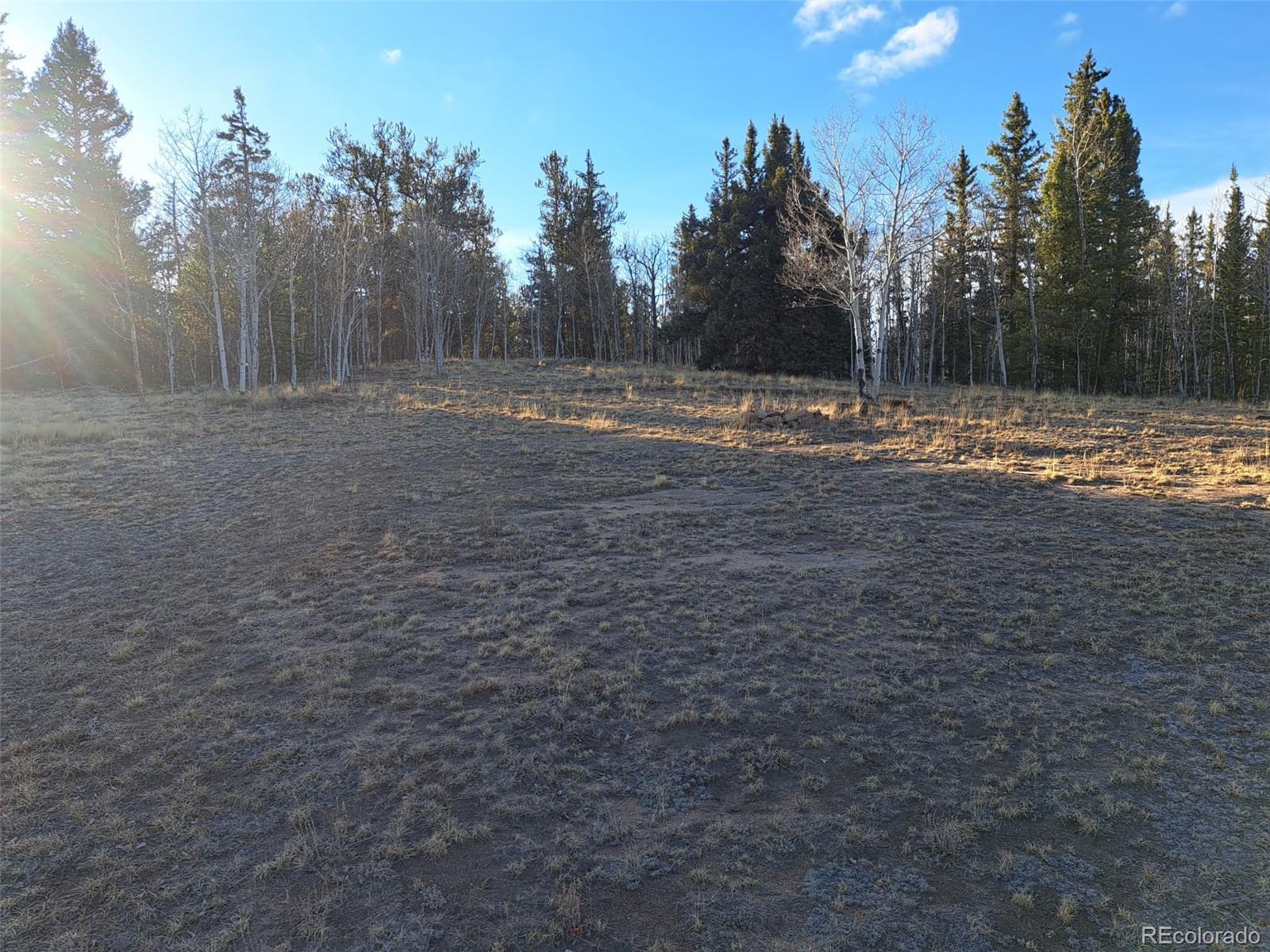 1645 Chippewa Road Como CO 80432