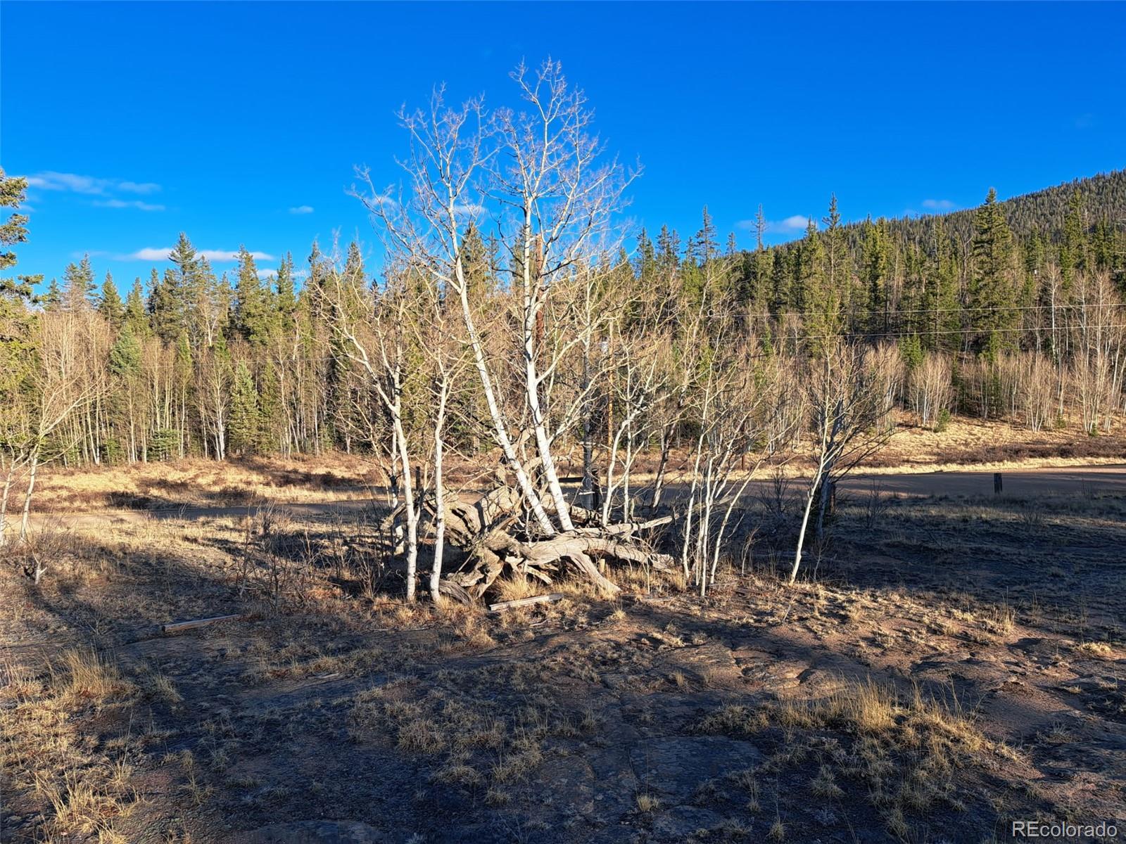 1645 Chippewa Road Como CO 80432