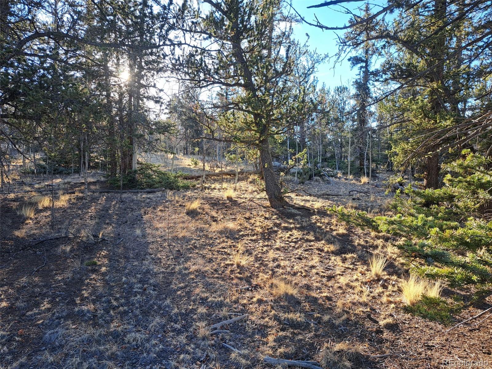 1645 Chippewa Road Como CO 80432