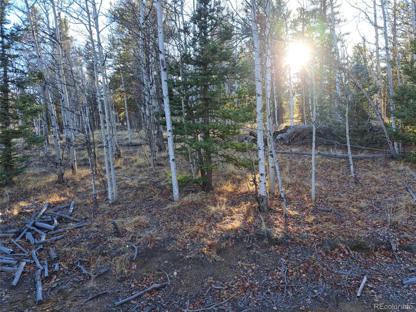 1645 Chippewa Road Como CO 80432