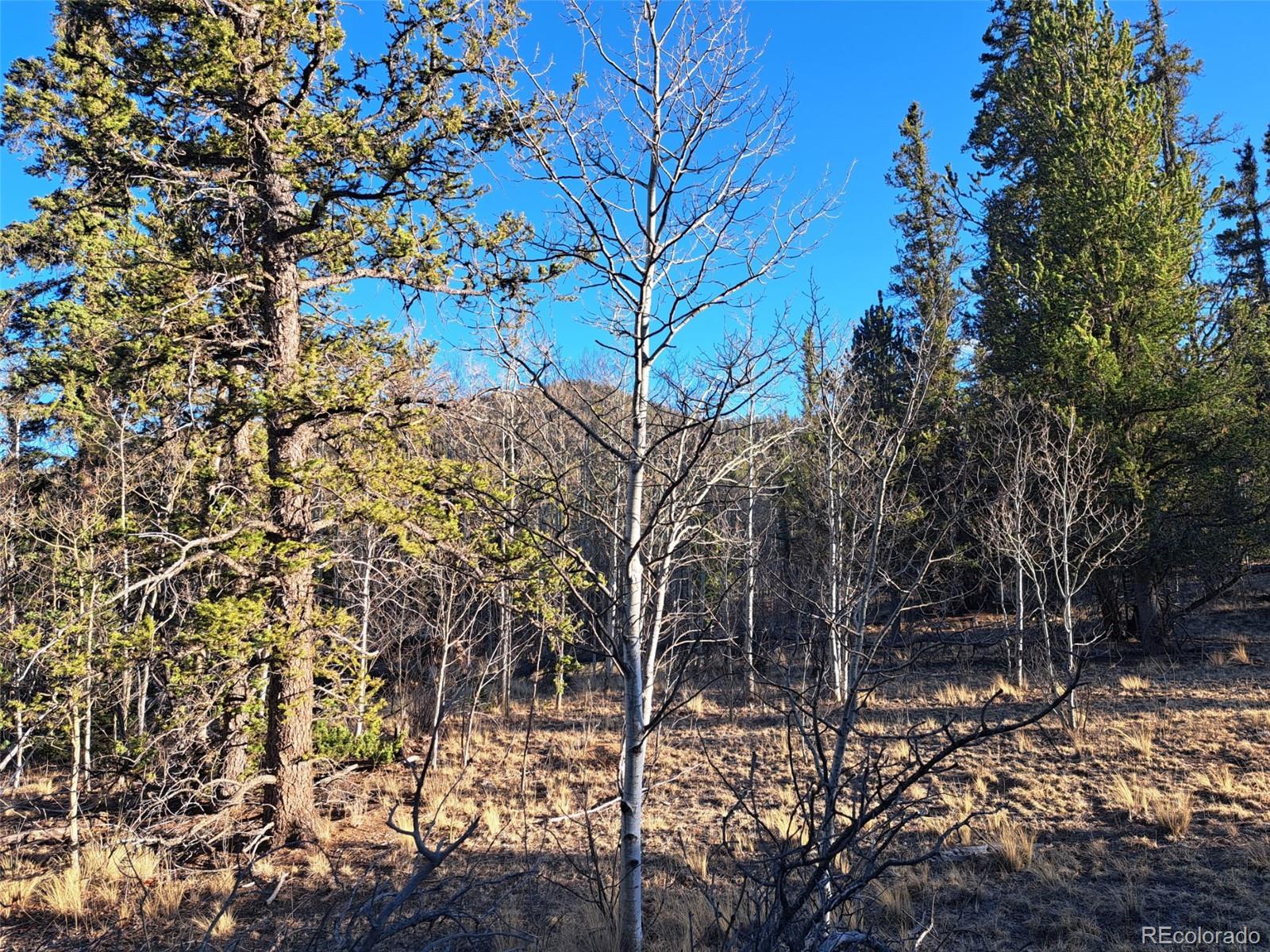 1645 Chippewa Road Como CO 80432