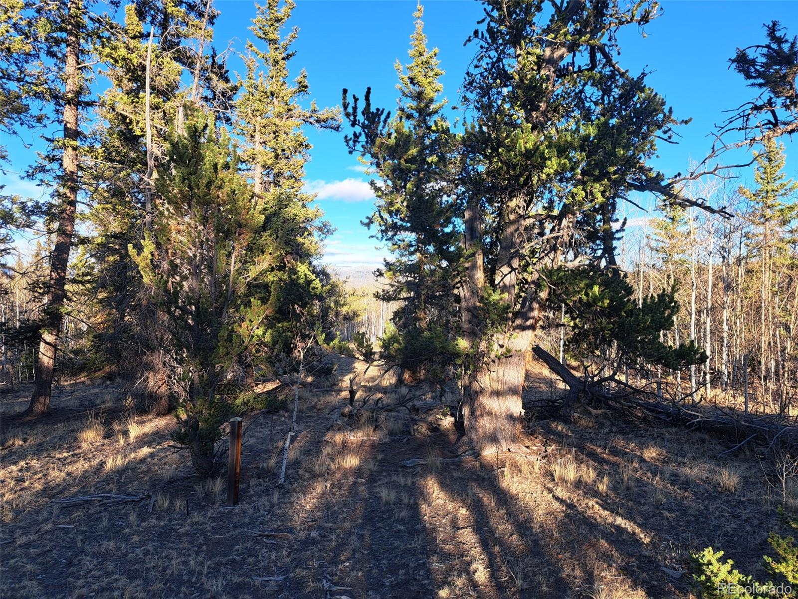 1645 Chippewa Road Como CO 80432