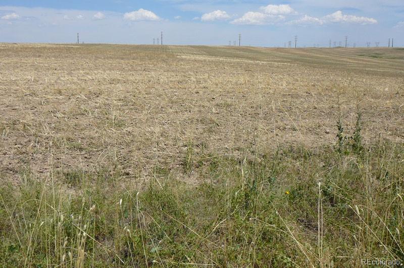 217 Price Road Deer Trail CO 80105