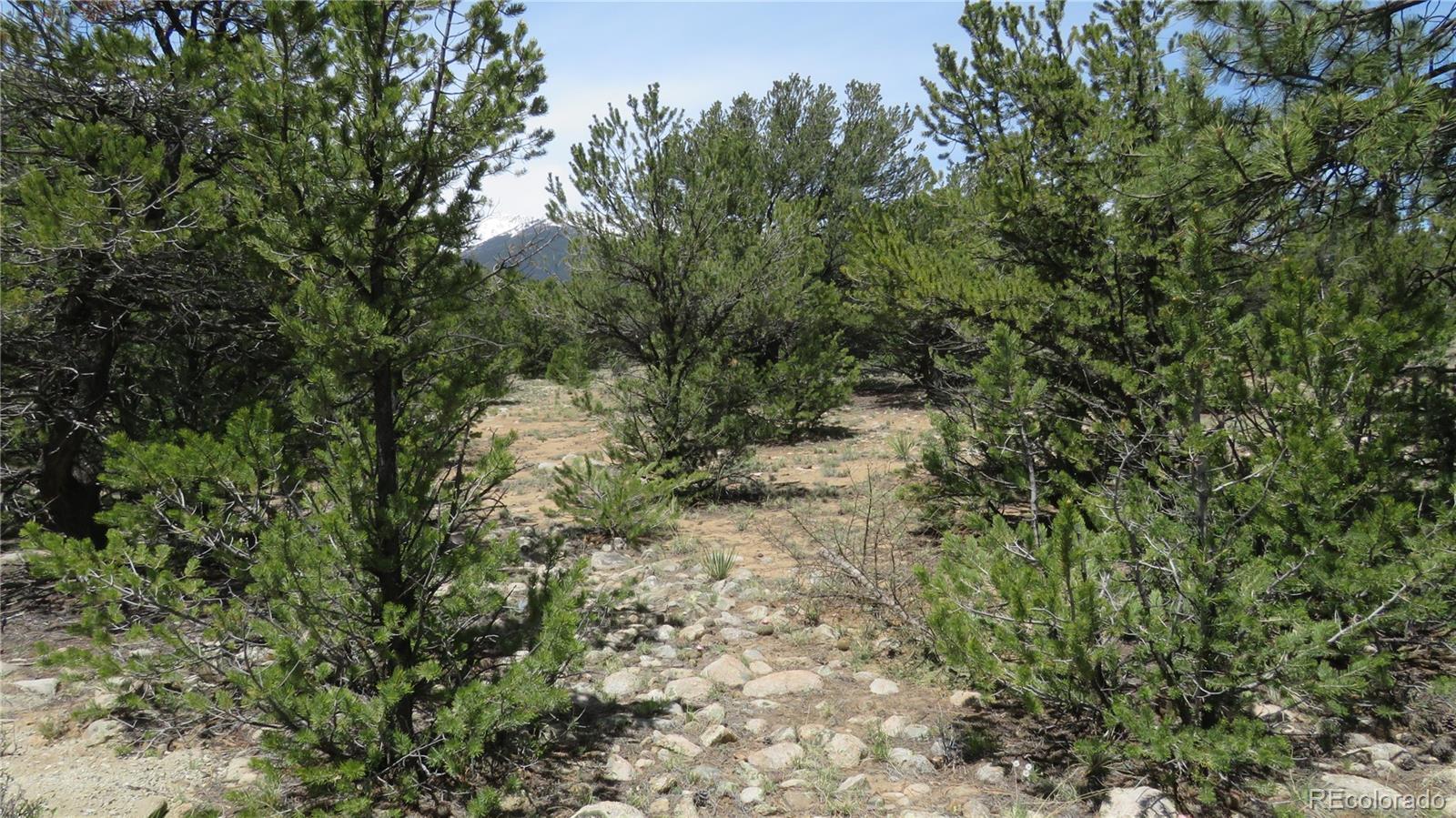 29258 Sage Lane Buena Vista CO 81211