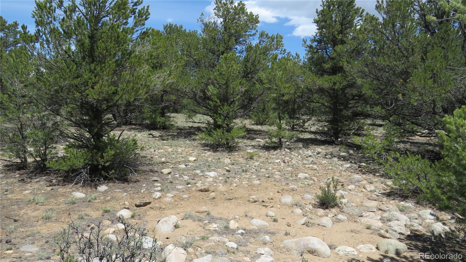 29258 Sage Lane Buena Vista CO 81211